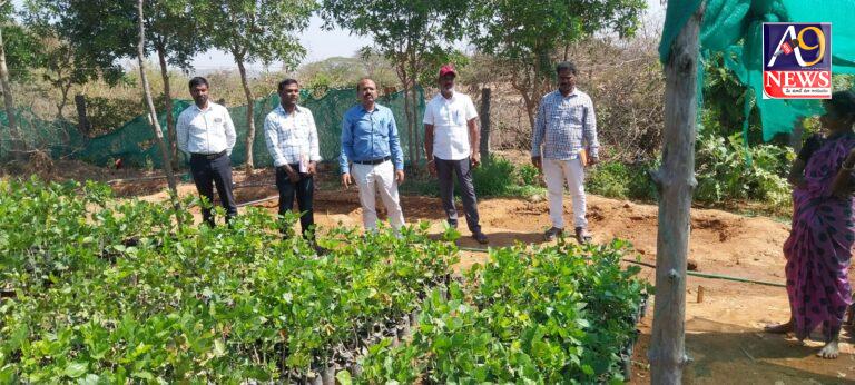 మెండోరా గ్రామాన్ని సందర్శించిన ఎంపిడి ఓ సంతోష్ కుమార్