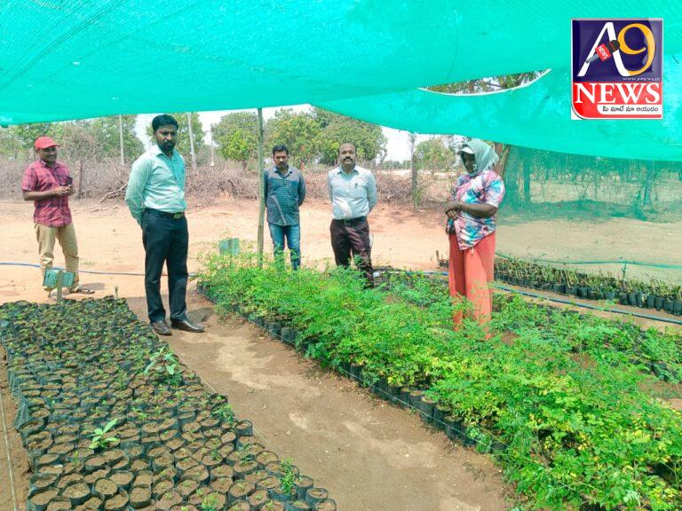 పల్లికొండ, పురానిపేట్ గ్రామాలను సందర్శినా ఎం పి డి ఓ సంతోష్ కుమార్