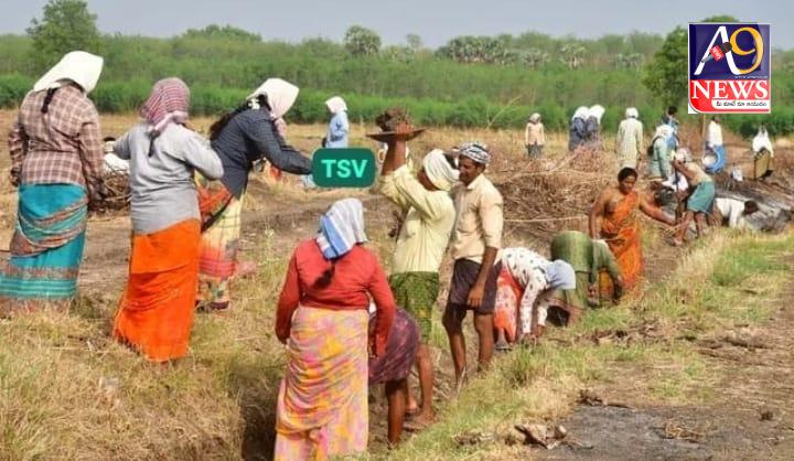 ఉపాధి హామీ కూలీల కనీస వేతనం పెంపు